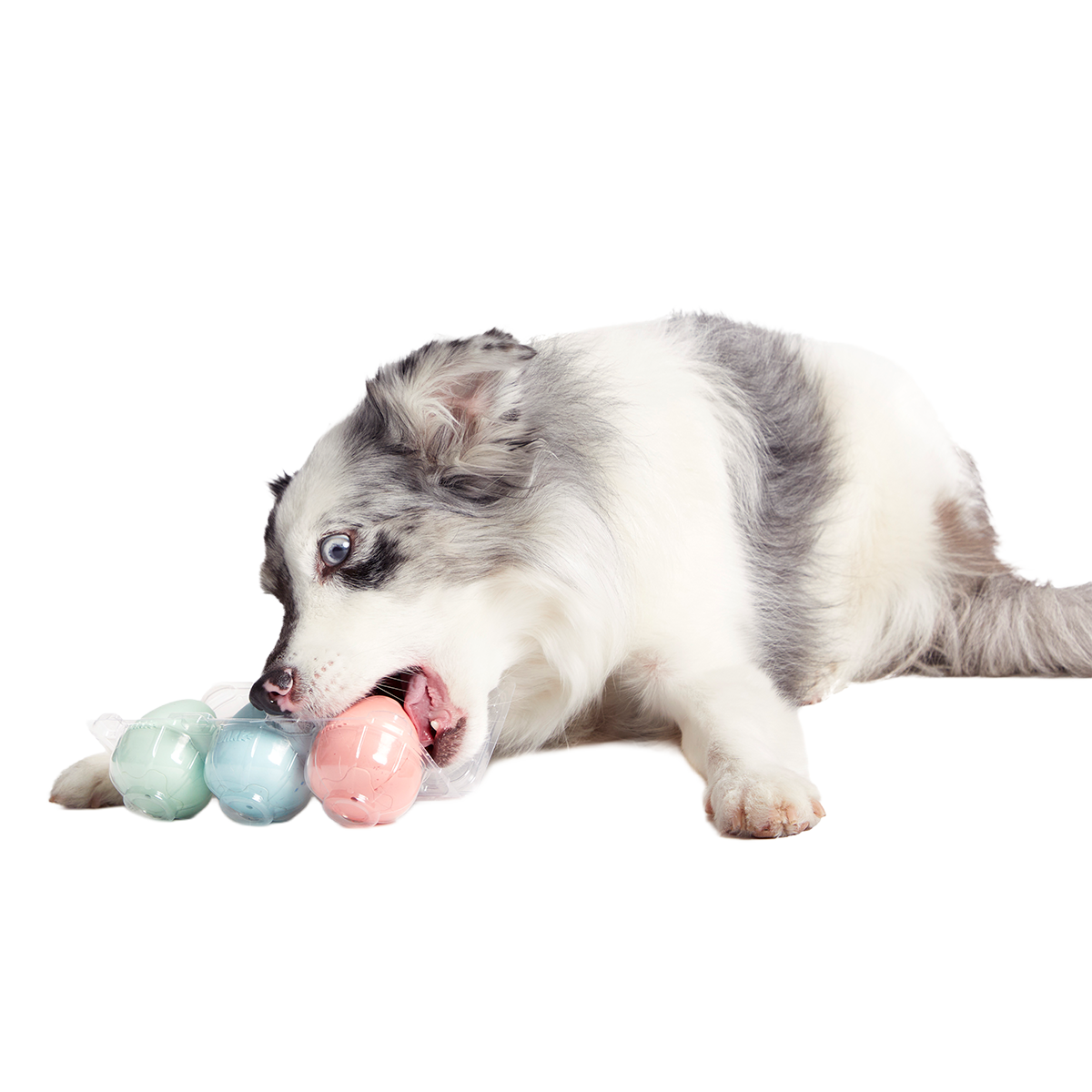 Easter Funday Bundle Super Chewer Durable Multi-Part + Fetch Dog Toy