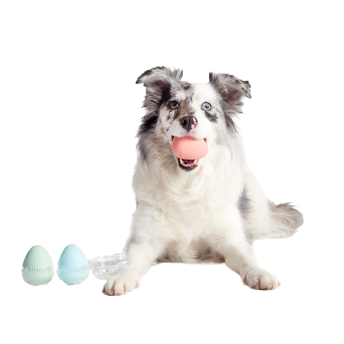 Easter Funday Bundle Super Chewer Durable Multi-Part + Fetch Dog Toy