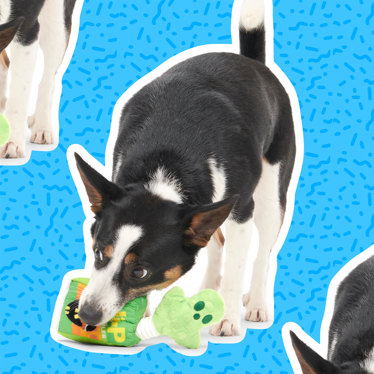 Junk Food Club, Plush Monthly Dog Toys