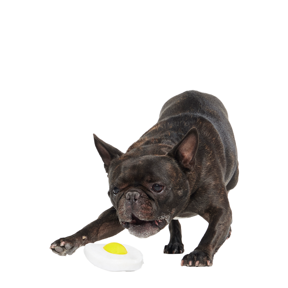 Egg Over Hard Super Chewer Durable Gnaw Dog Toy