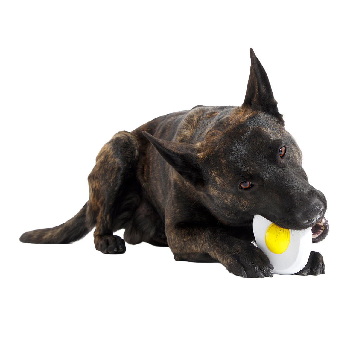 Egg Over Hard Super Chewer Durable Gnaw Dog Toy