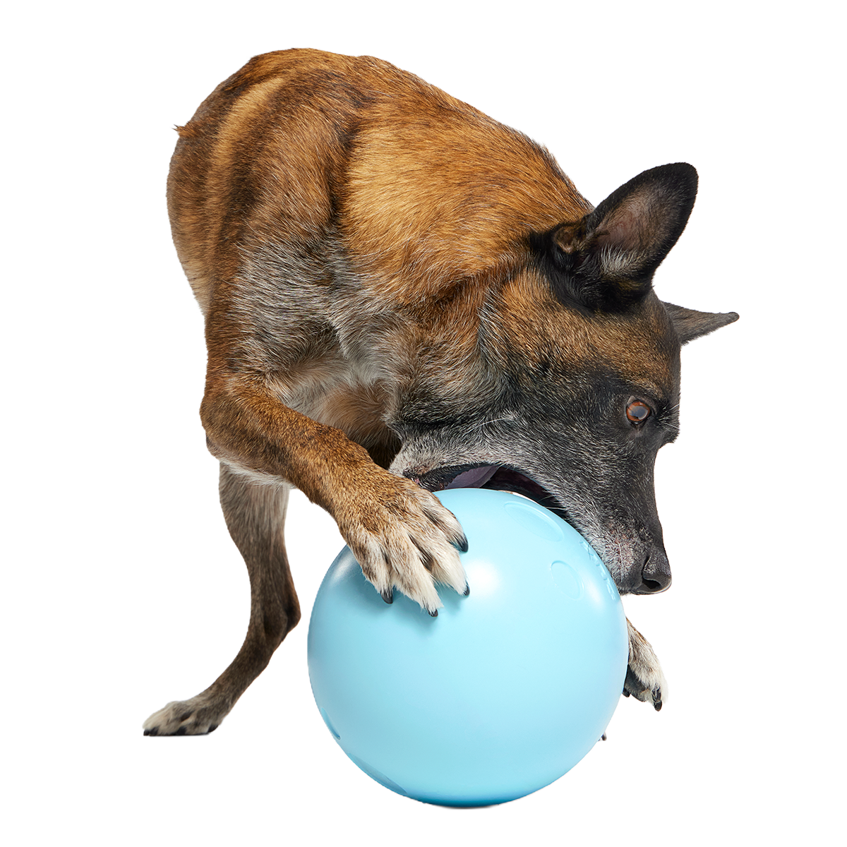 Eggstra Large Easter Egg Super Chewer Durable Extra-Large Fetch Dog Toy