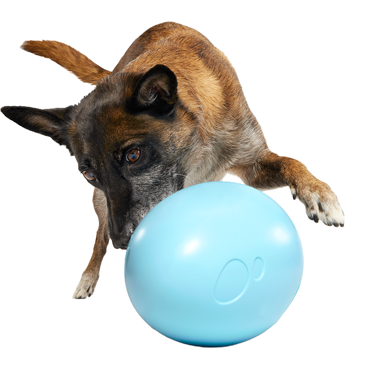 Eggstra Large Easter Egg Super Chewer Durable Extra-Large Fetch Dog Toy
