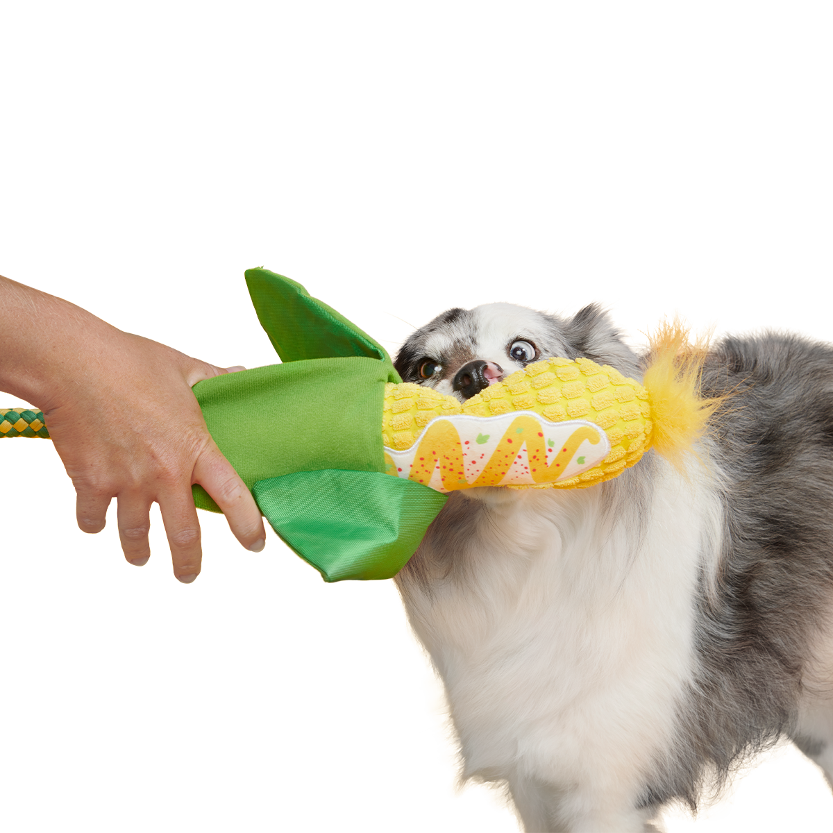 Elote Fun Corn Plush Tug Dog Toy