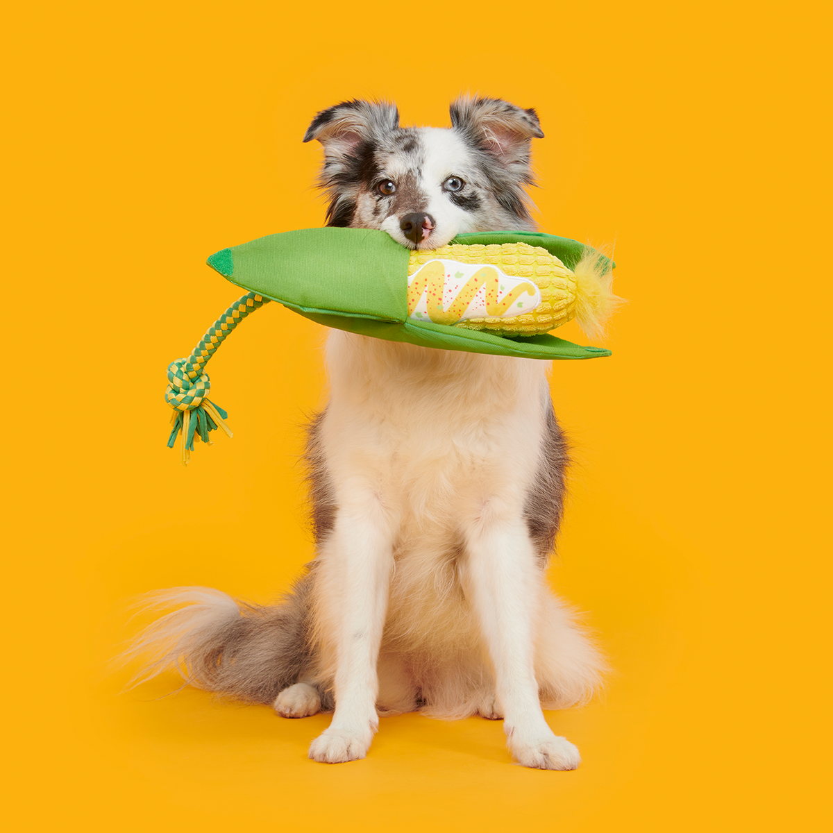 Elote Fun Corn Plush Tug Dog Toy
