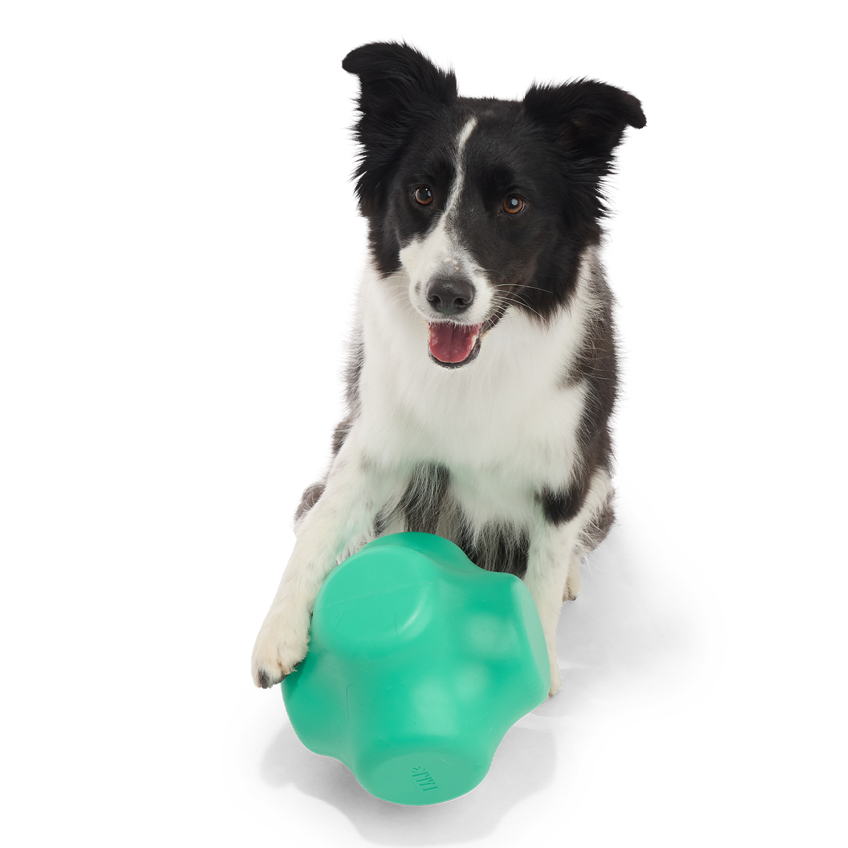 Evergreen Bolder Super Chewer Durable Gnaw Dog Toy
