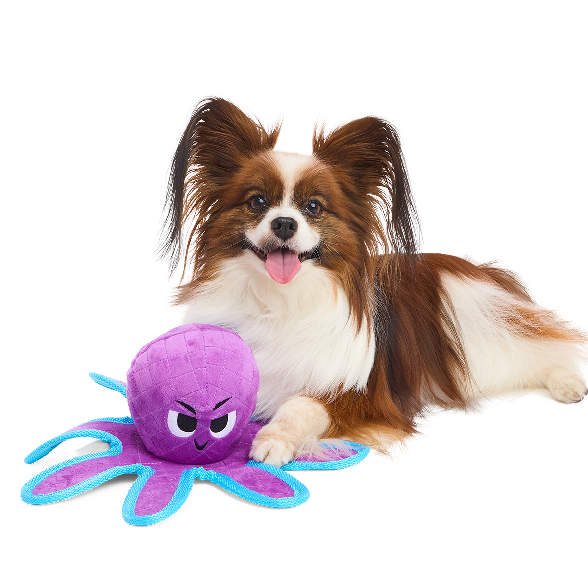 Extra Strength Ollie Plush Tug Dog Toy