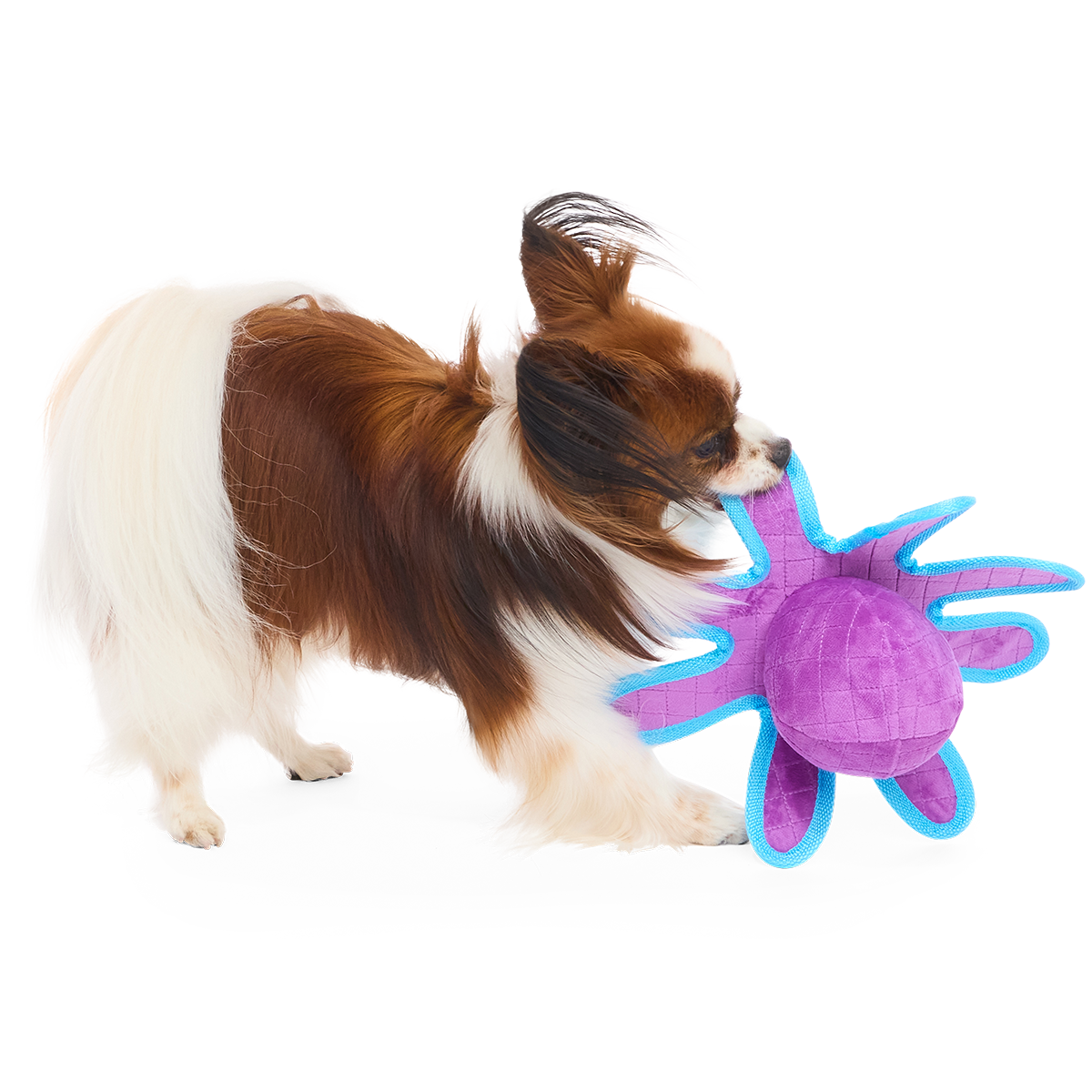 Extra Strength Ollie Plush Tug Dog Toy