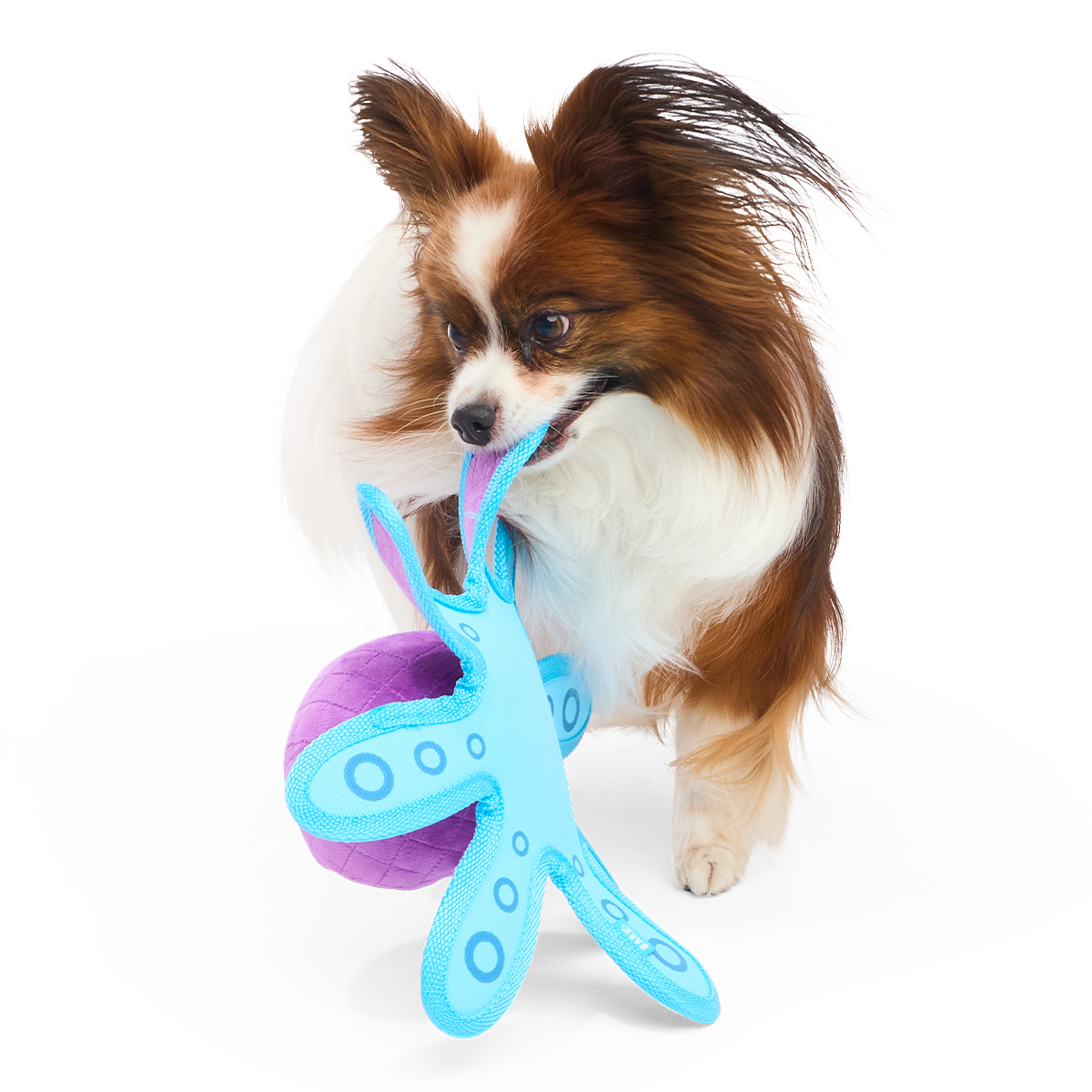 Extra Strength Ollie Plush Tug Dog Toy