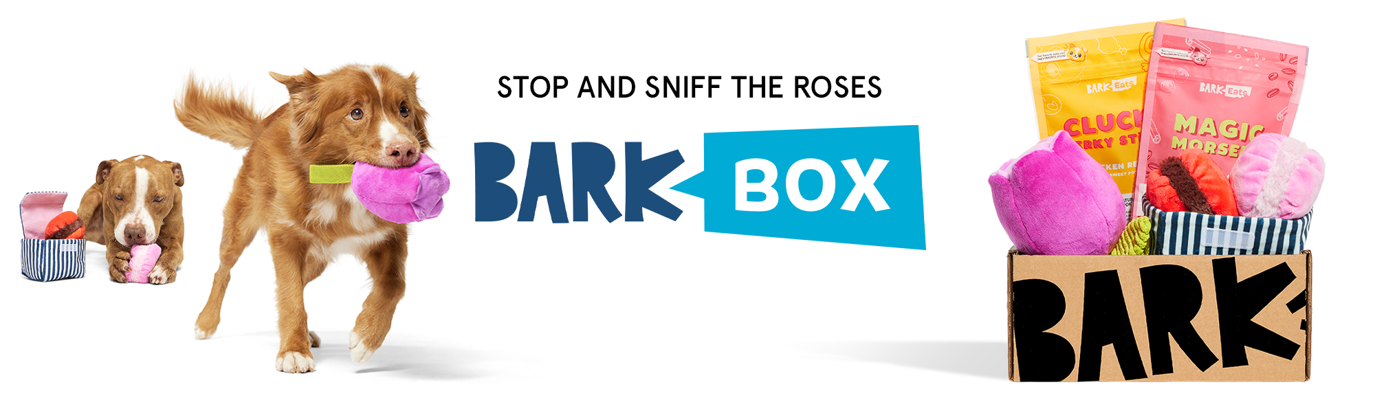 BarkBox 6 Month Subscription