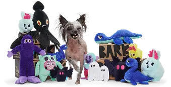 Free Toys for a Year