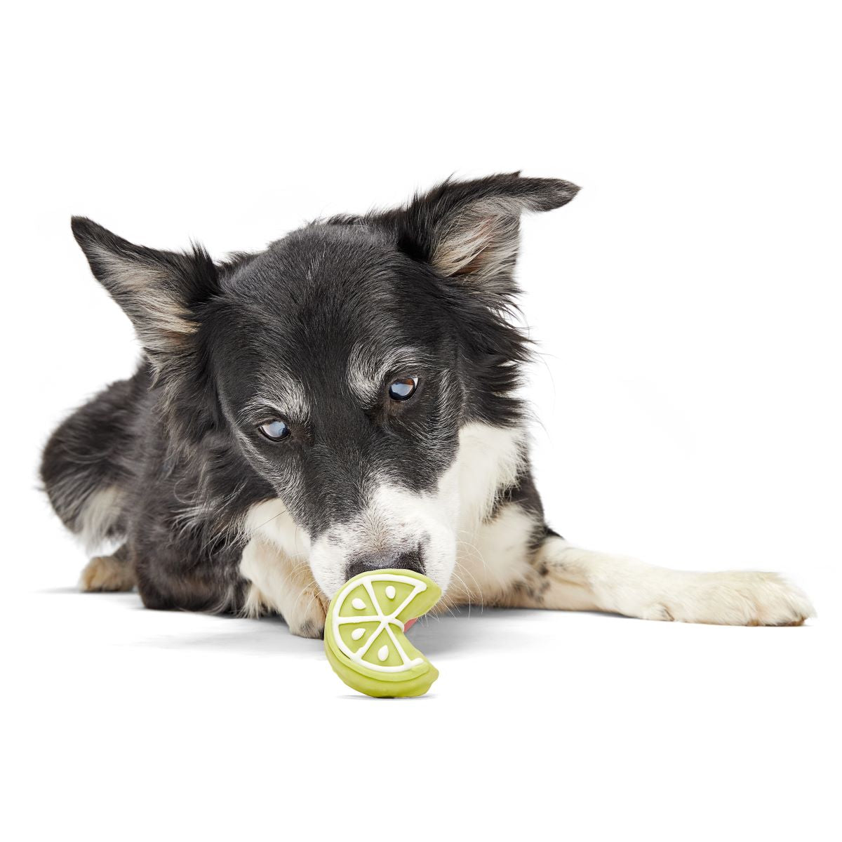 Lime Time Cookie