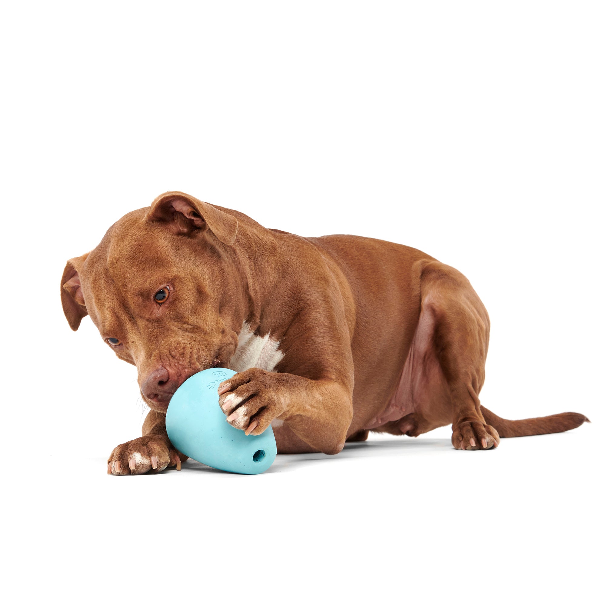 Dog Chew Toy Portable Treat Dispensing Dog Puzzles Balls