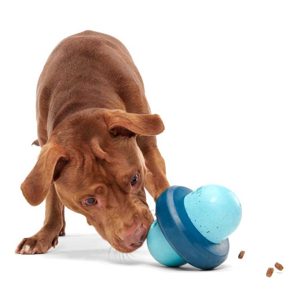 brown dog playing with pivot puzzle toy