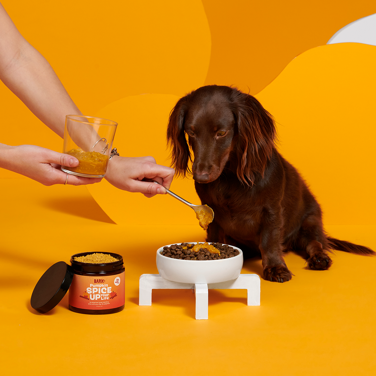 Pumpkin Spice, And Everything Nice Vegetarian Dog Food Meal Topper, 6.1 oz