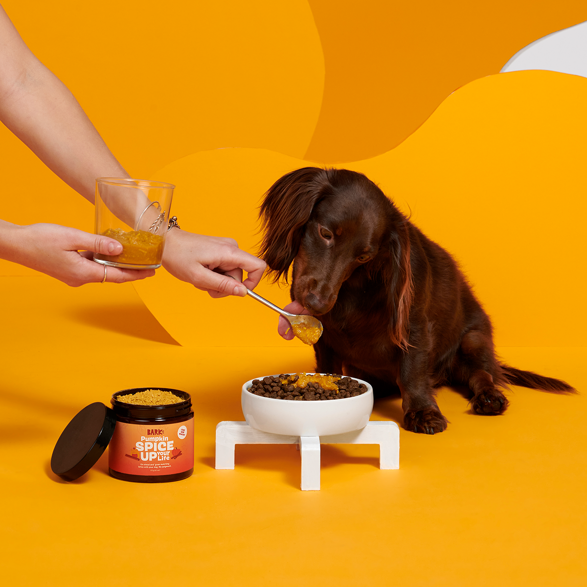 Pumpkin Spice, And Everything Nice Vegetarian Dog Food Meal Topper, 6.1 oz