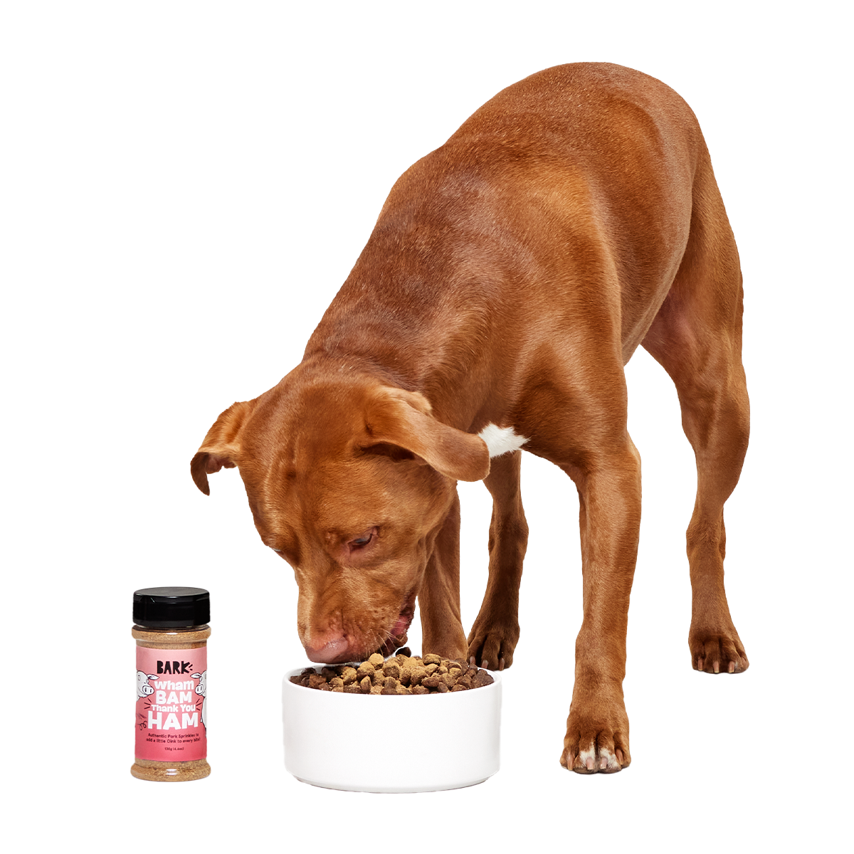 Wham Bam Thank You Ham Pork Dog Food Meal Topper