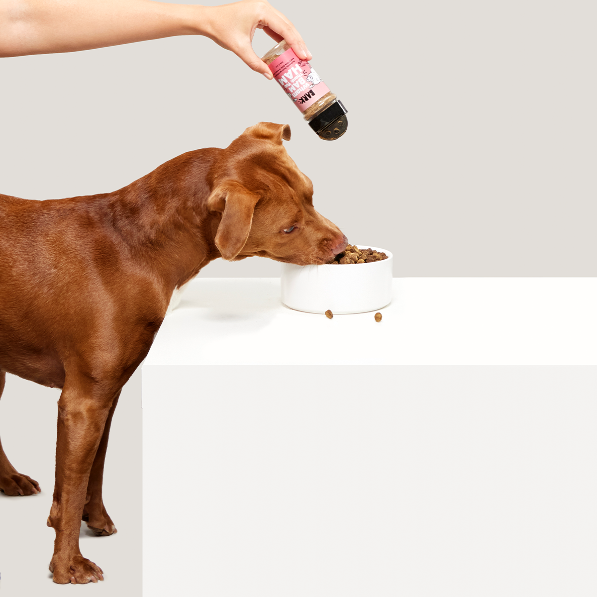 Wham Bam Thank You Ham Pork Dog Food Meal Topper, 4.6 oz