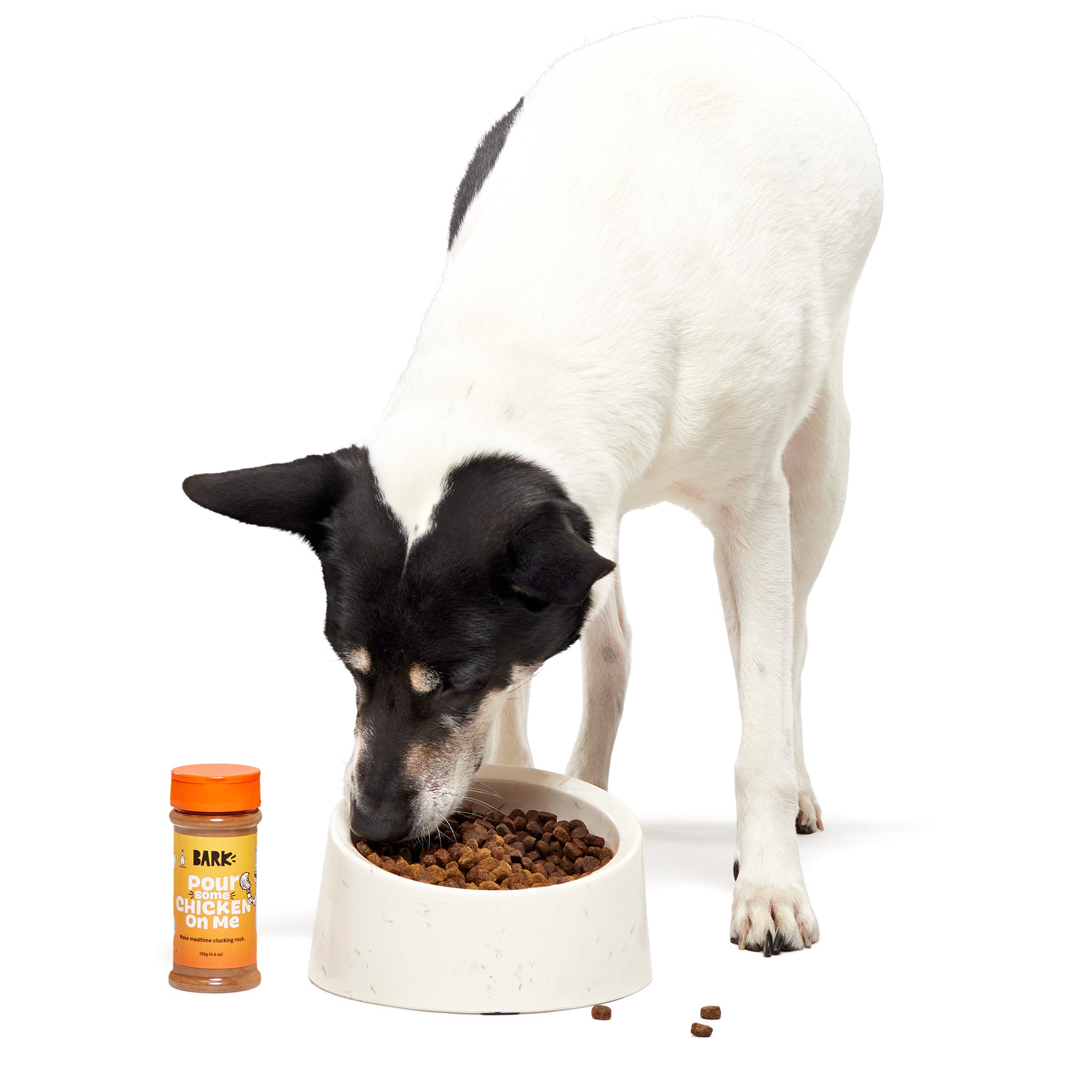 Chicken eating clearance dog food