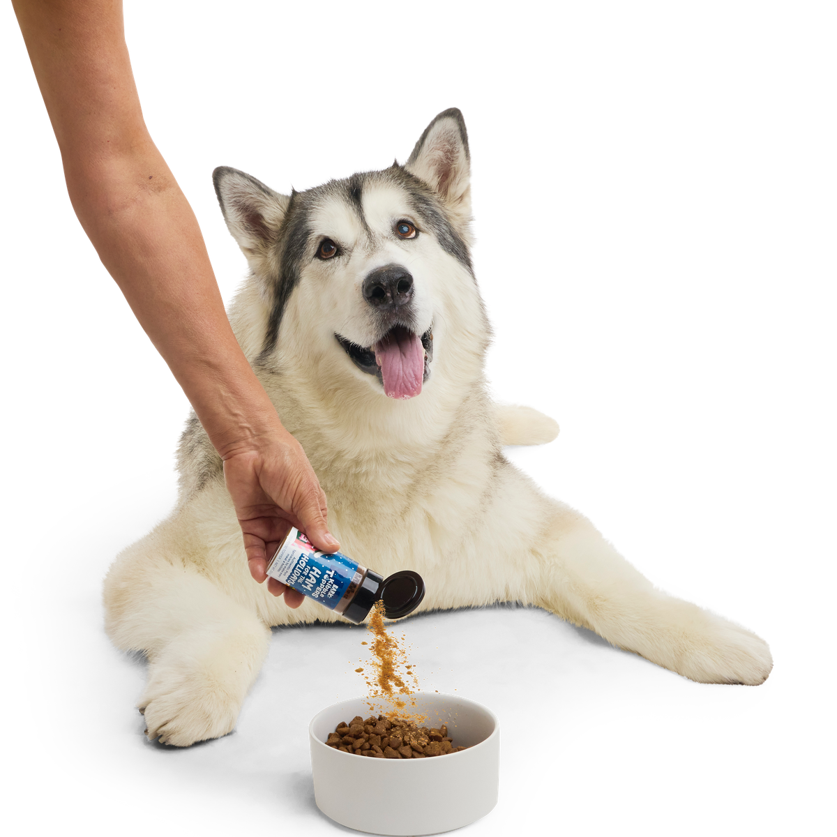 Ham For The Holidays Topper