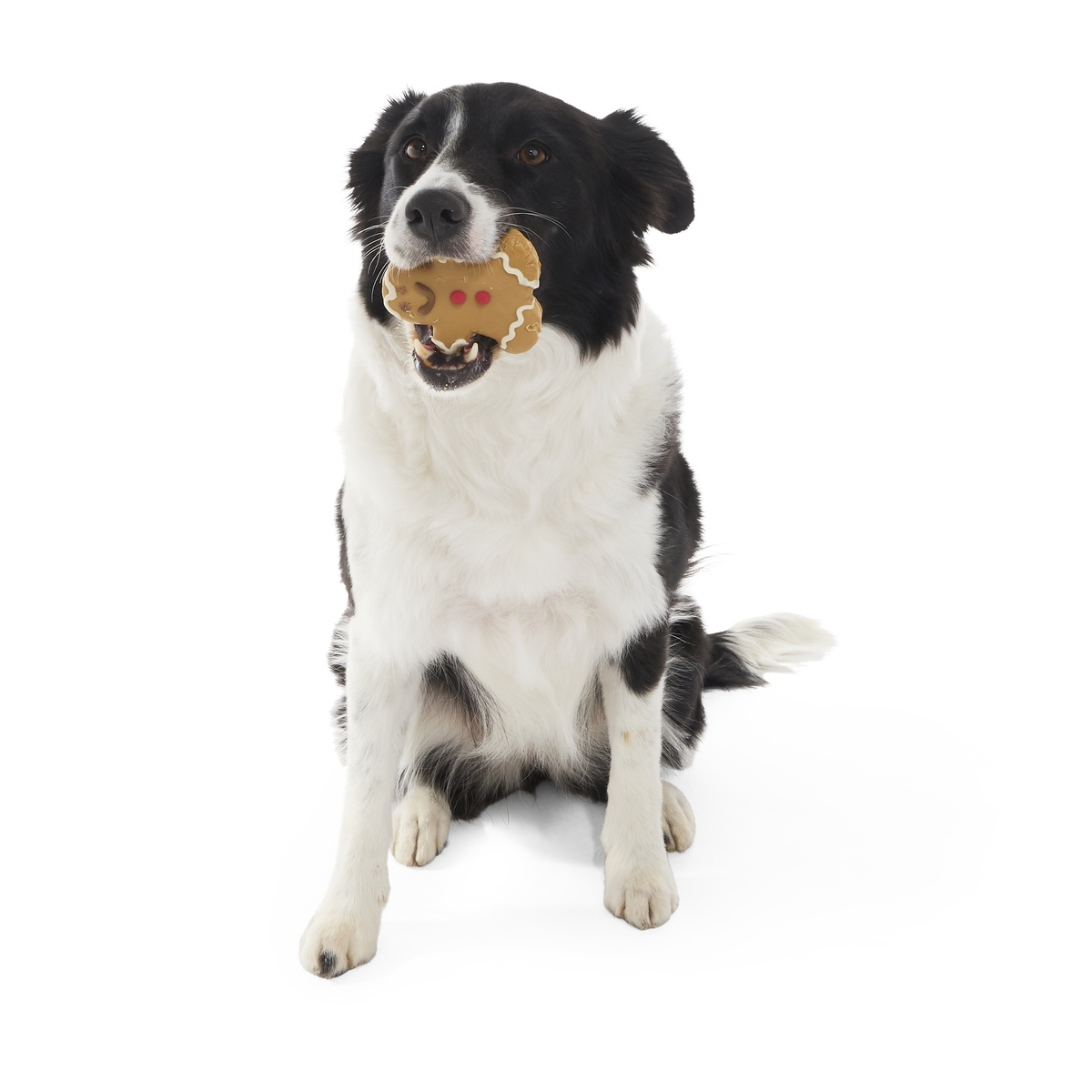 Gingerbark Man Cookie