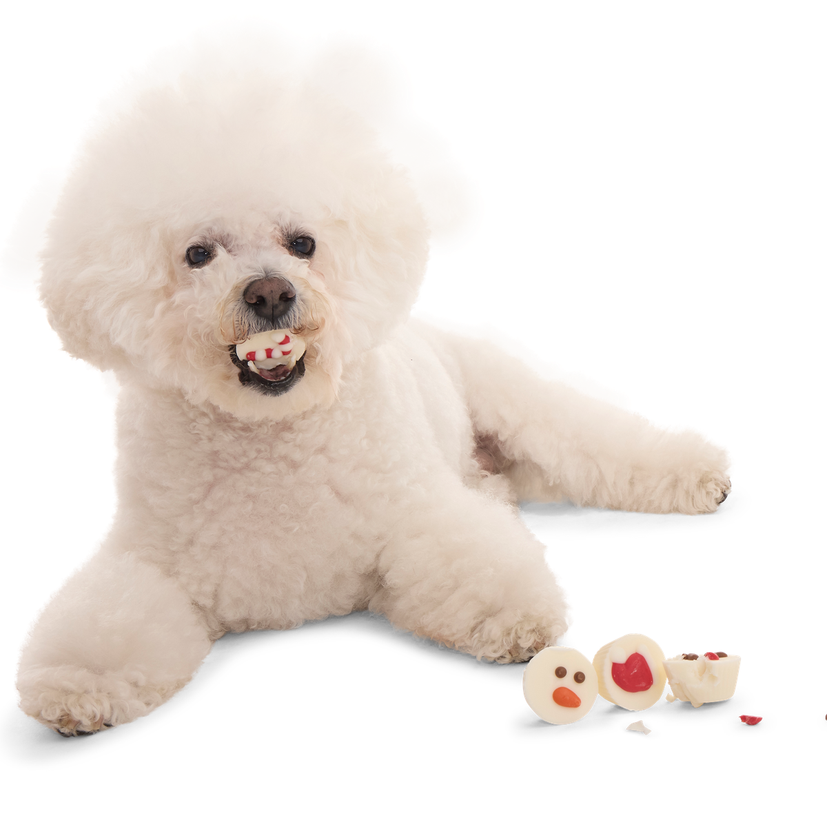 Christmutts Treat Cups