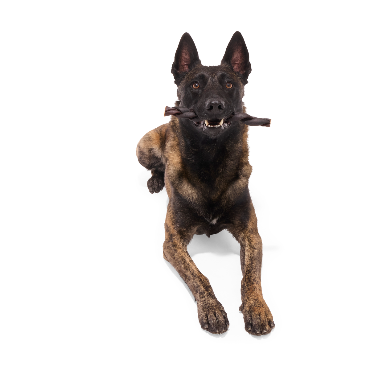 Beef Braided Collagen Dog Chew, Single, 9"