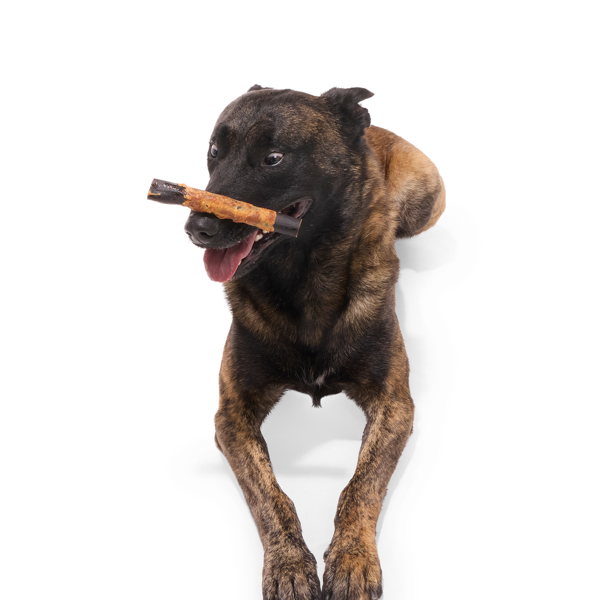 Variety Pack Collagen Dog Chews, 3 Ct