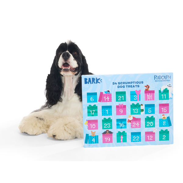 Rudolph® Treat Advent Calendar, 24 Dog Treats – BARK