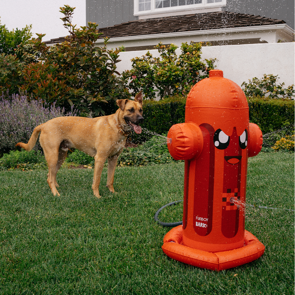 FUNBOY Harry the Hydrant Sprinkler