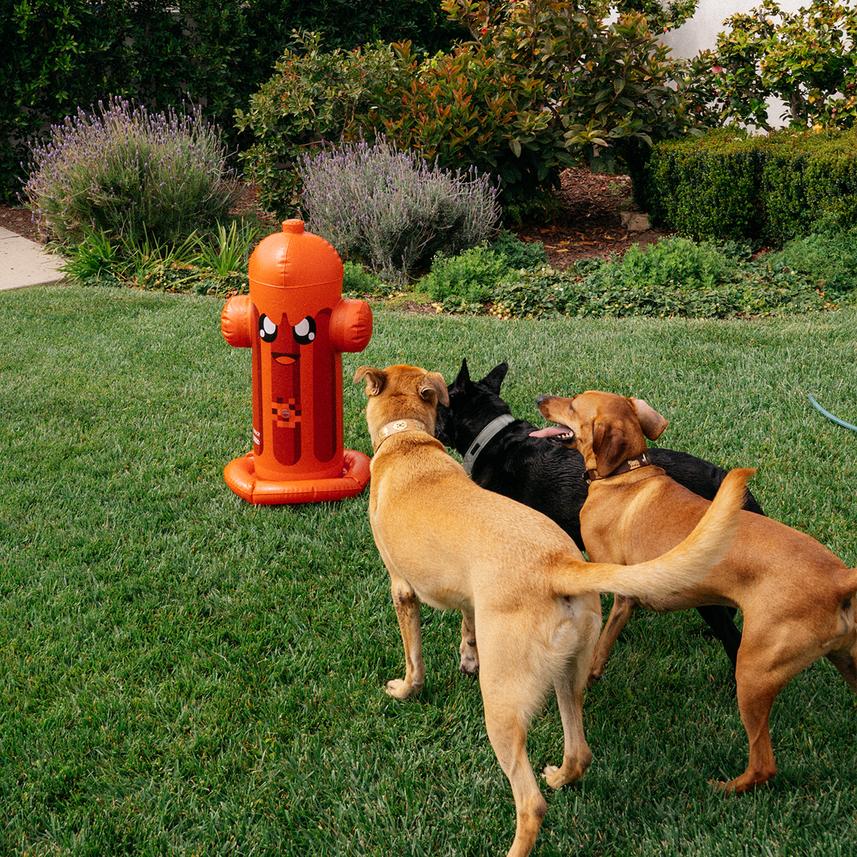 FUNBOY Harry the Hydrant Sprinkler