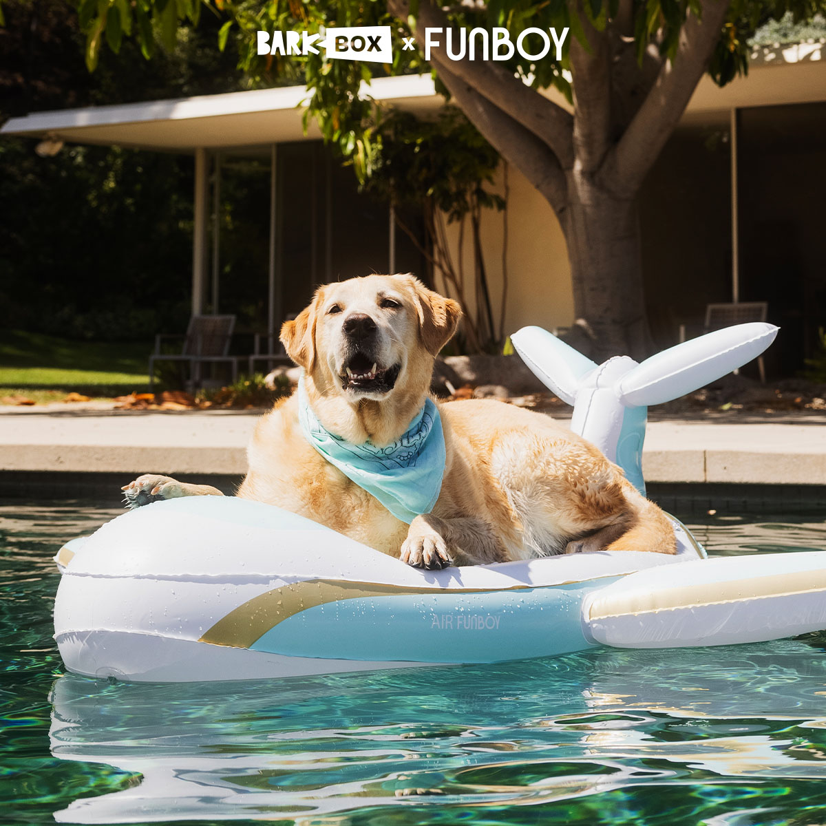 FUNBOY x Bark Private Jet Dog Float
