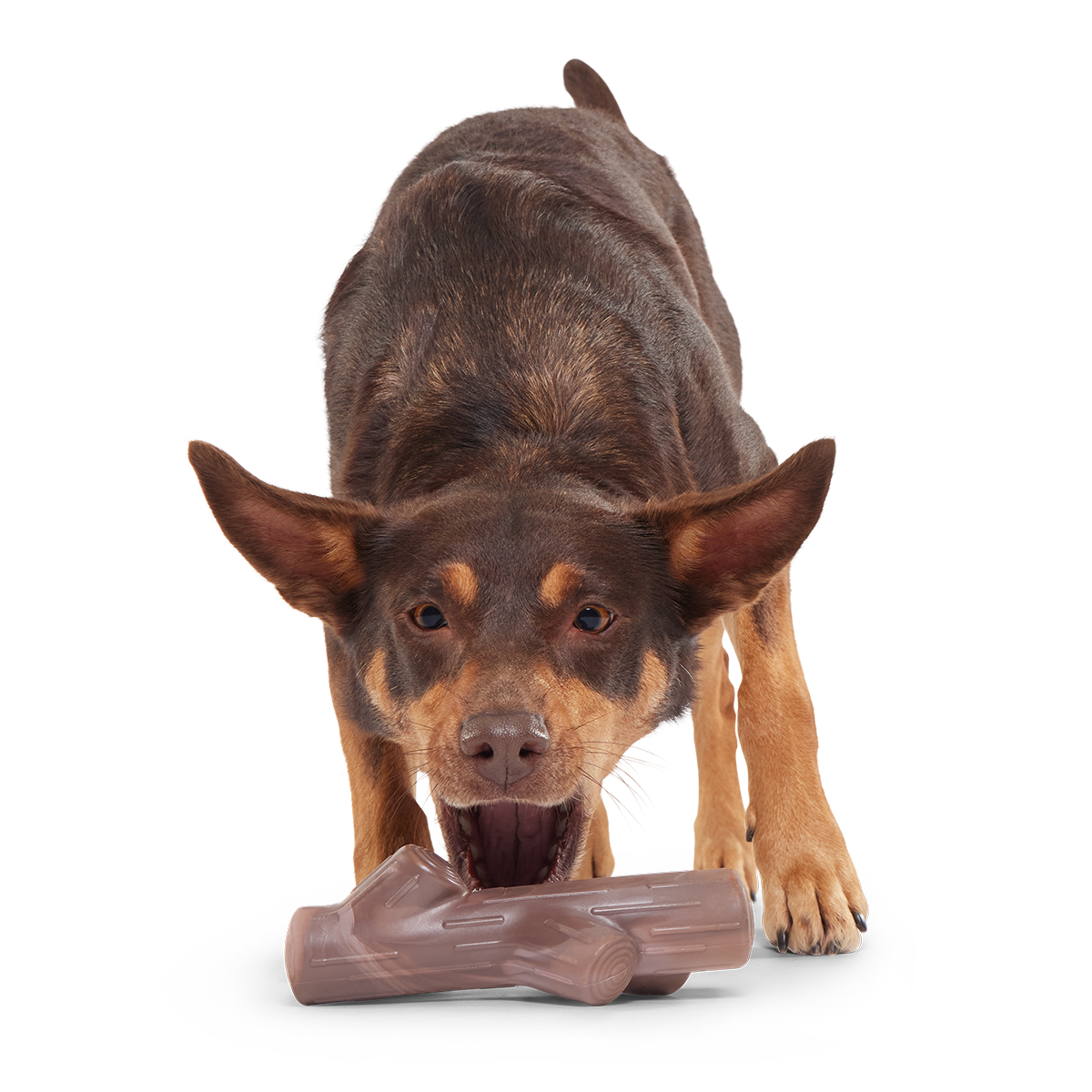 Fall Fetch Stick Super Chewer Durable Gnaw Dog Toy