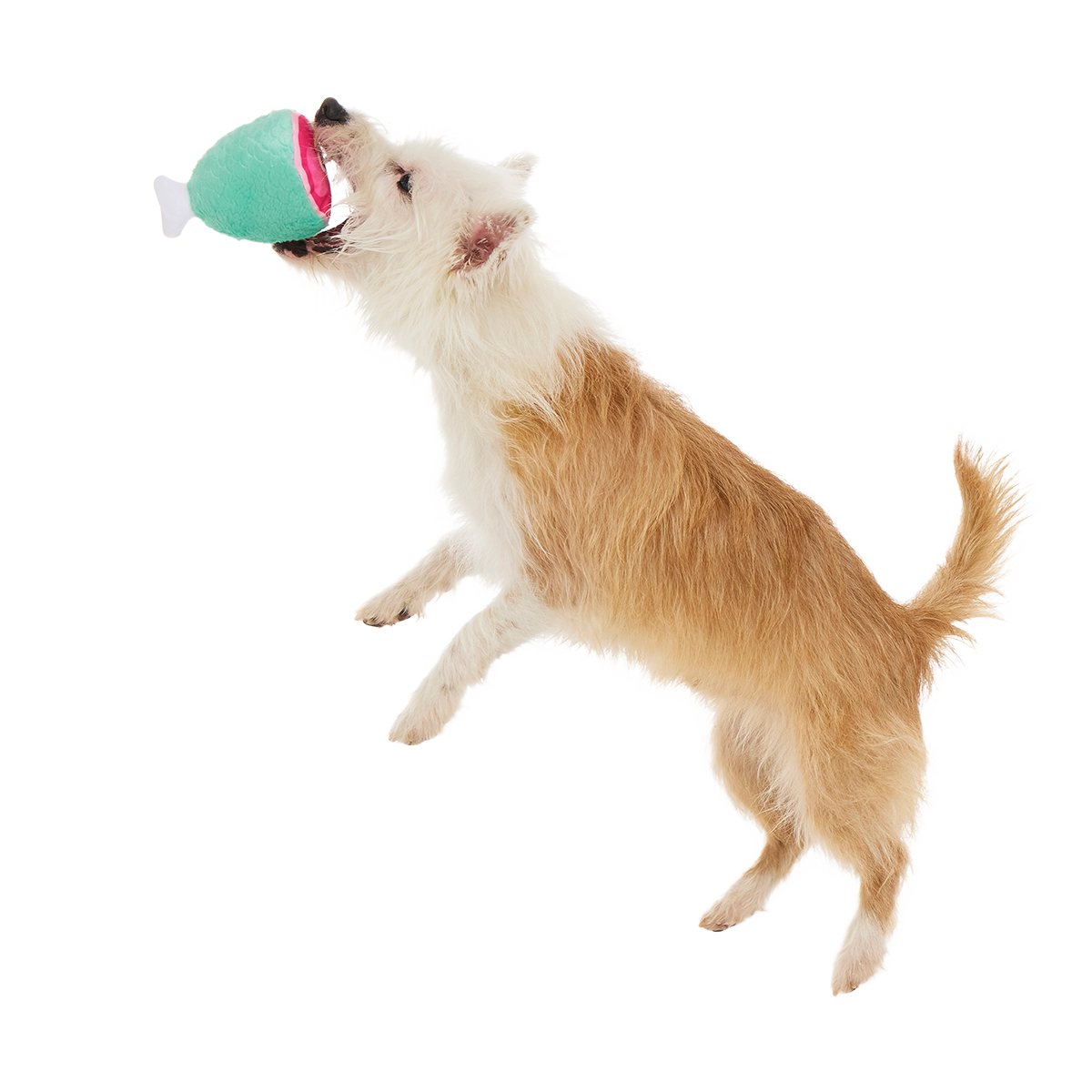 Feast Fetched for a King Plush Multi-Part Dog Toy