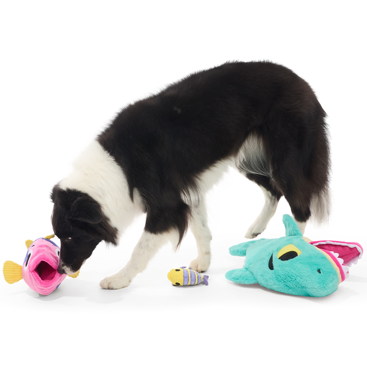 Feeding Frenzy Plush Extra-Large + Multi-Part + Enrichment Dog Toy