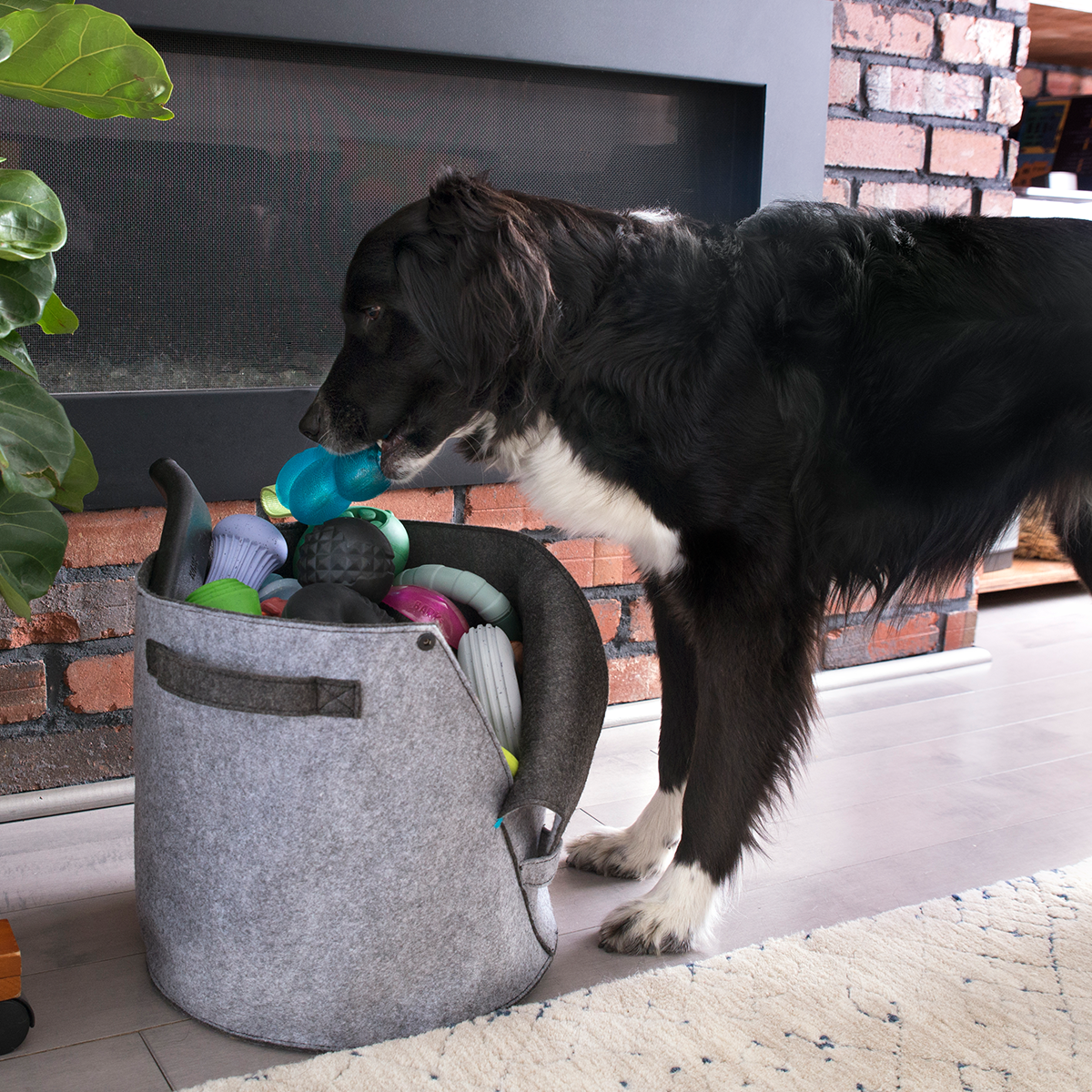 Felt Dog Toy Bin