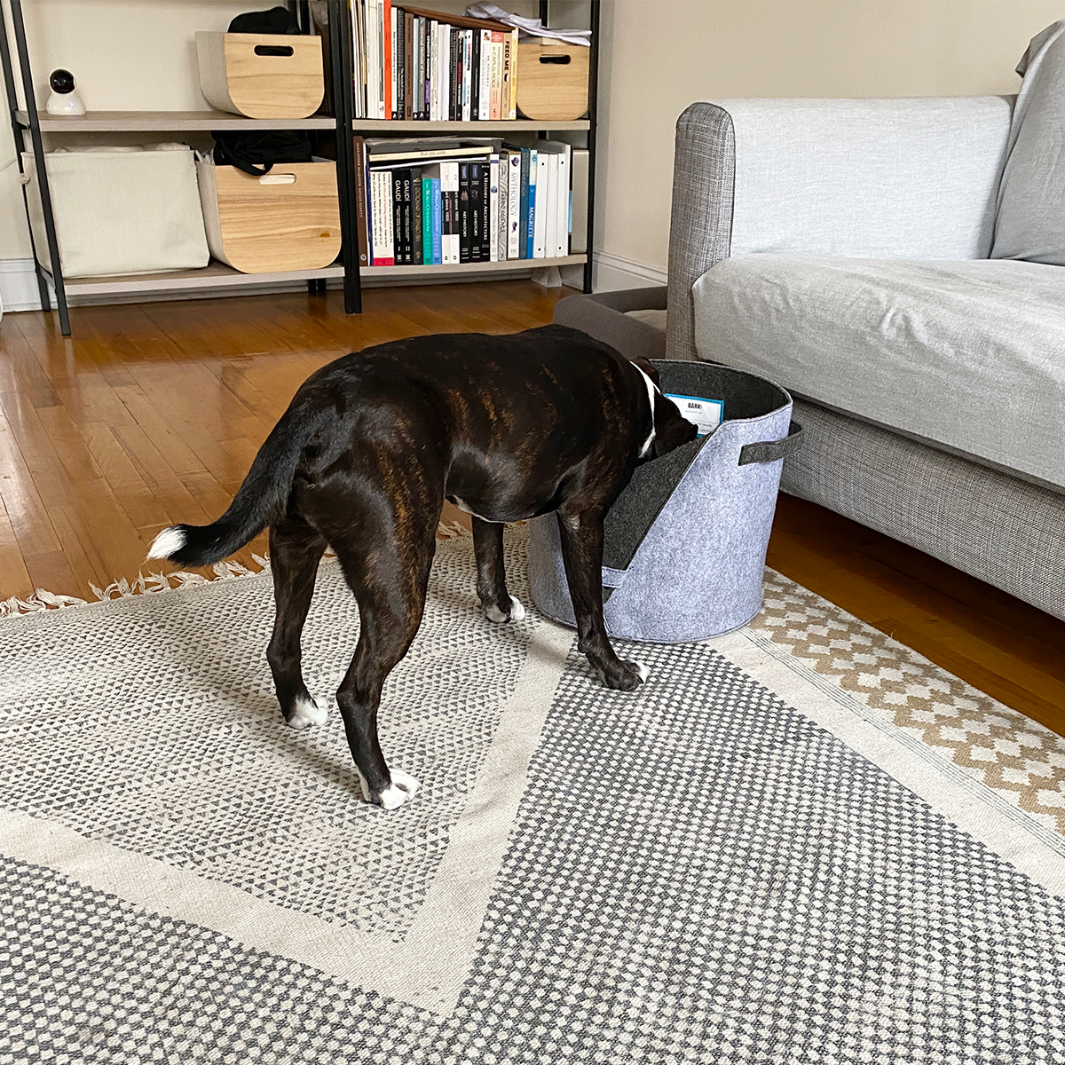 Felt Dog Toy Bin