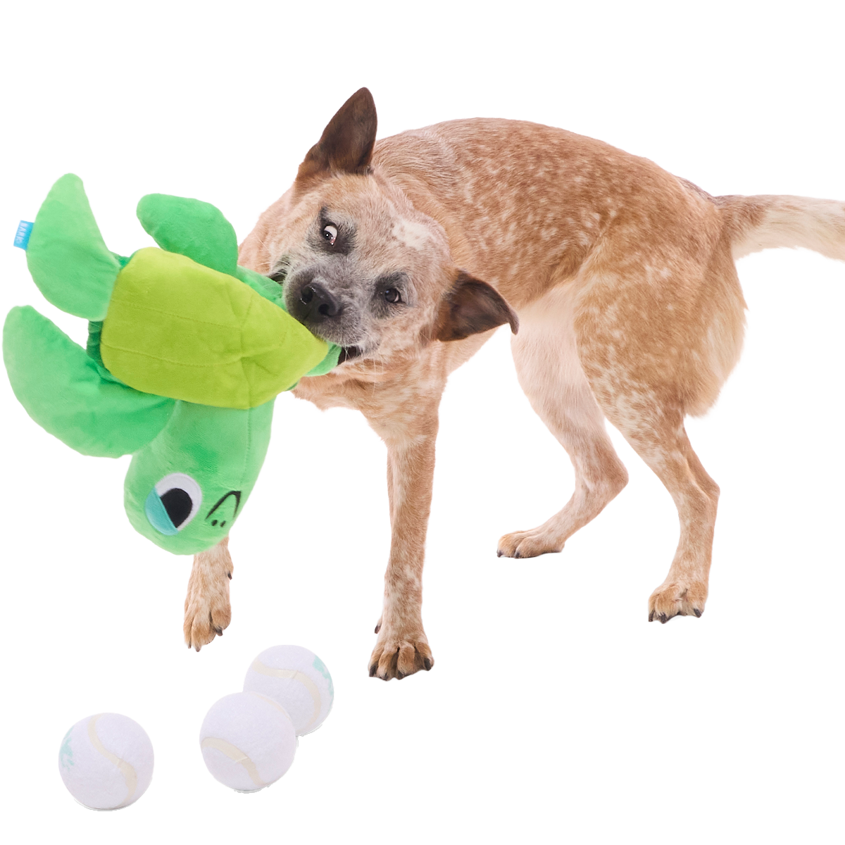 Fertile Myrtle Plush Extra-Large + Multi-Part  + Fetch Dog Toy