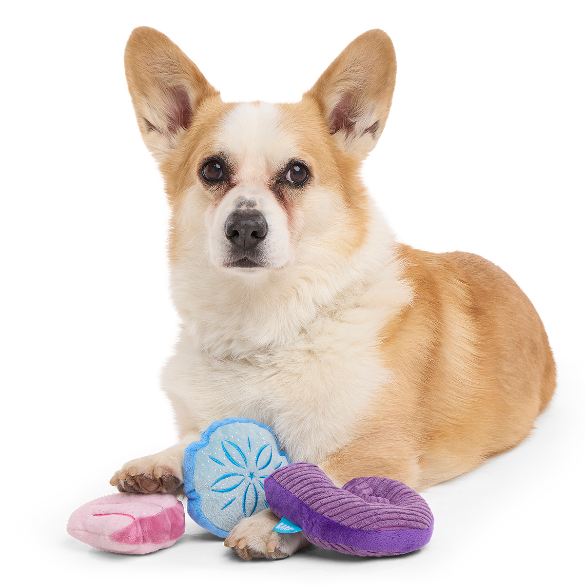 Fetchin' Squeakshells Plush Multi-Part Dog Toy