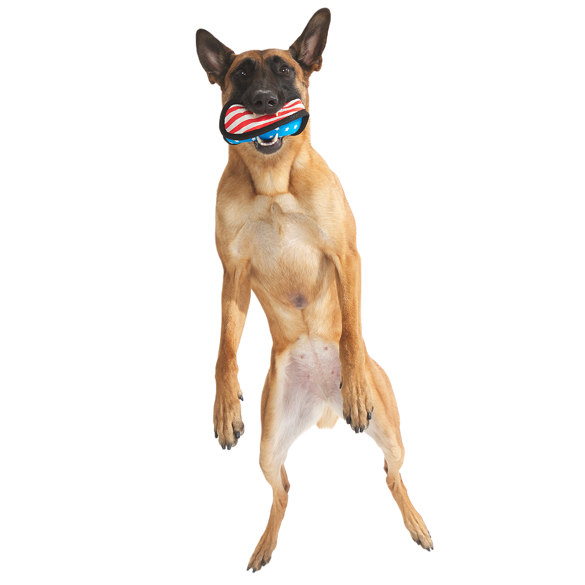Flag Toofball Super Chewer Durable 2-in-1 + Fetch Dog Toy