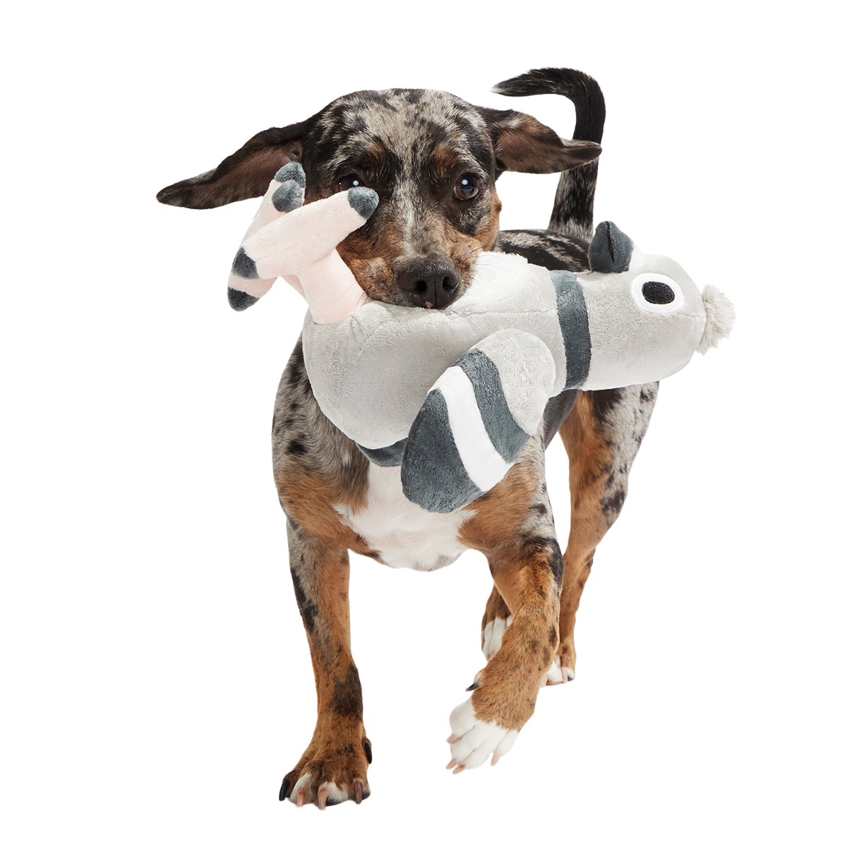 Flappin' Flossie Plush Tug Dog Toy