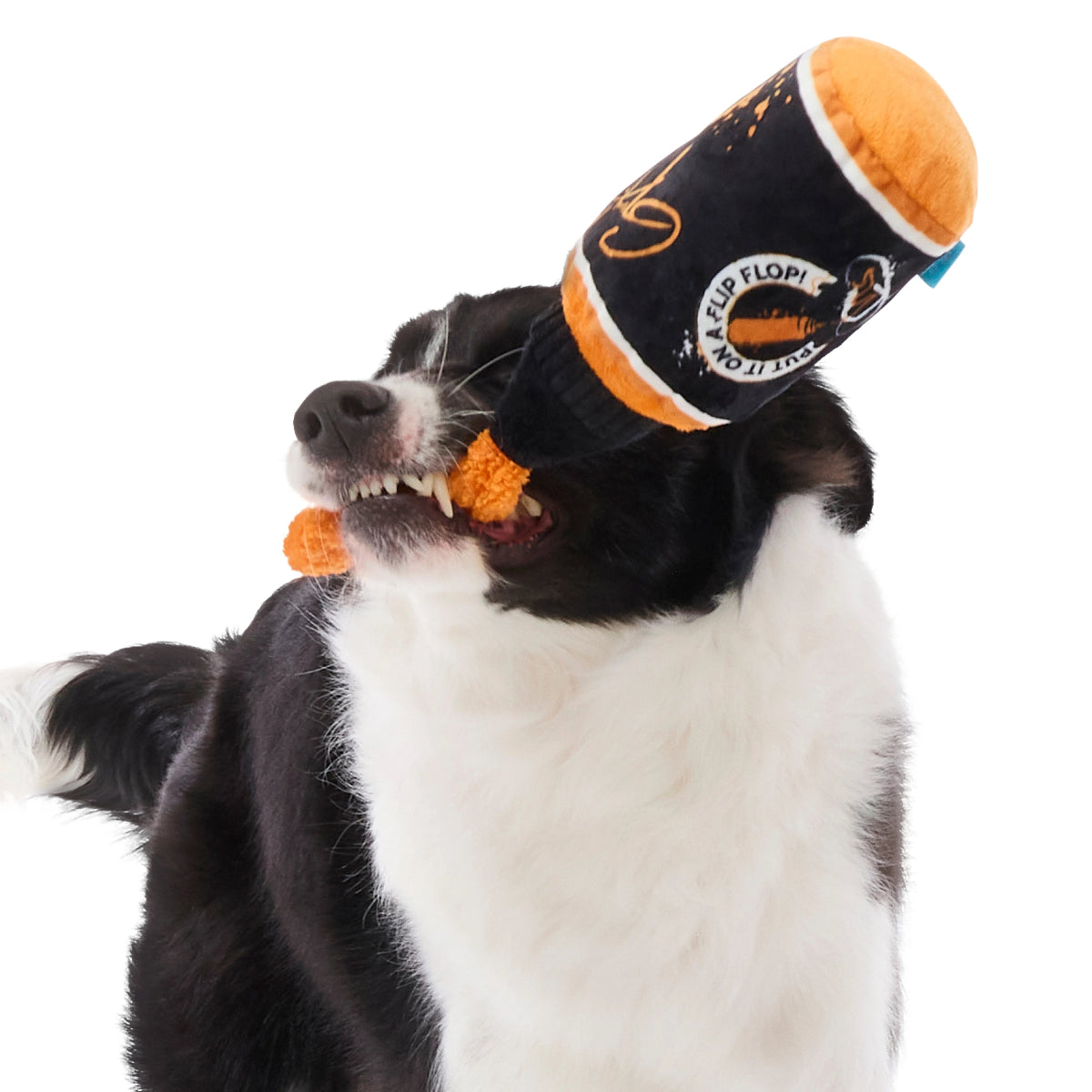 #Brand_barkbox #Brand_barkboxcombo #size_largedog #size_mediumdog
