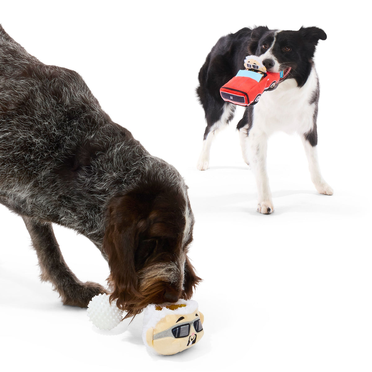 #Brand_barkbox #Brand_barkboxcombo #size_largedog #size_mediumdog