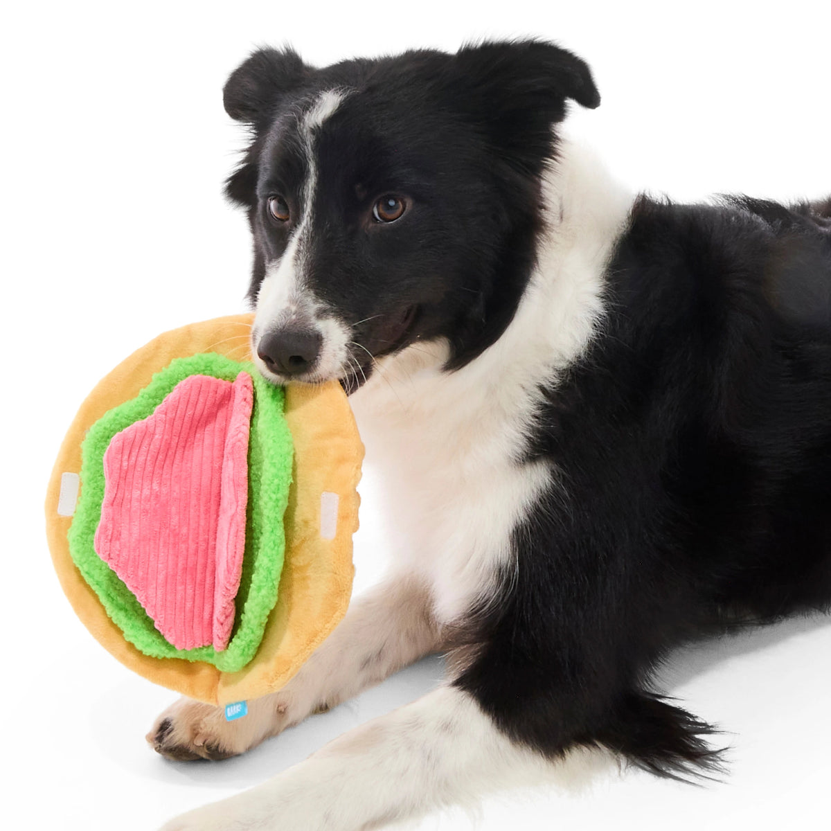 #Brand_barkbox #size_largedog #size_mediumdog