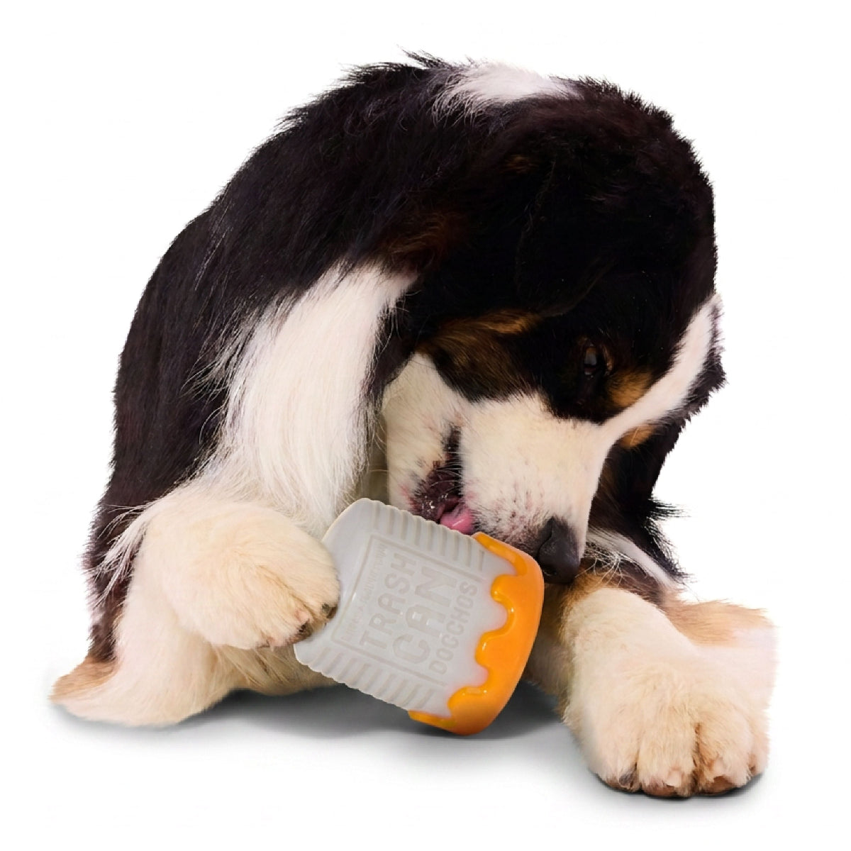#Brand_barkboxcombo #Brand_superchewer #size_largedog #size_mediumdog