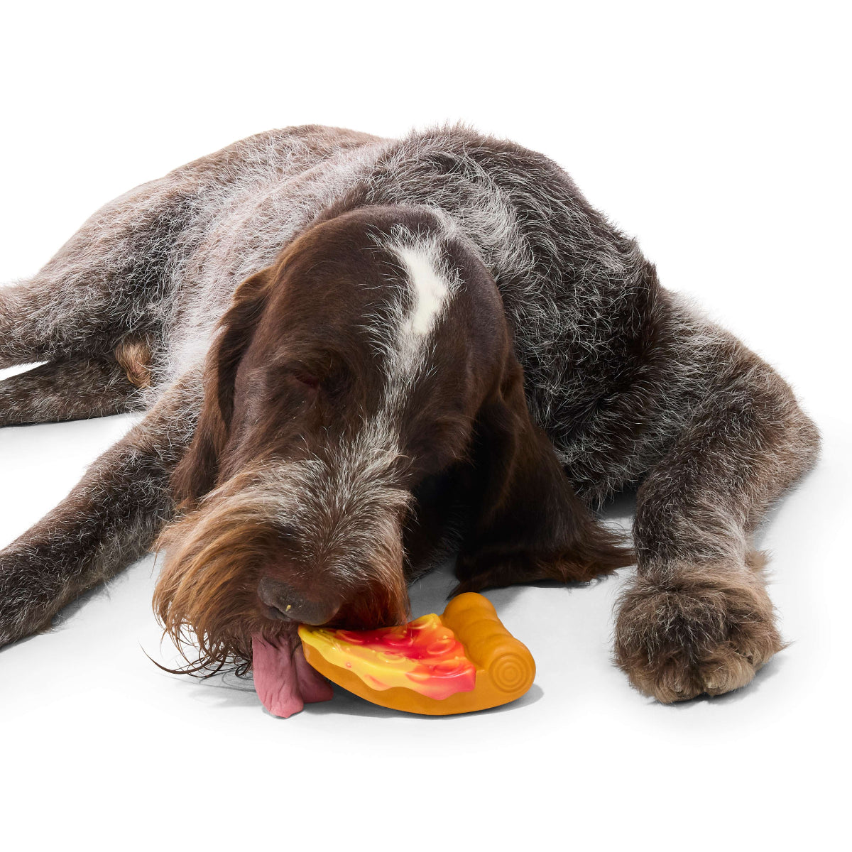 #Brand_barkboxcombo #size_mediumdog