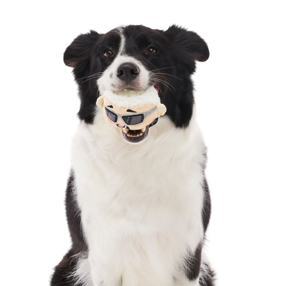 #Brand_barkboxcombo #size_smalldog