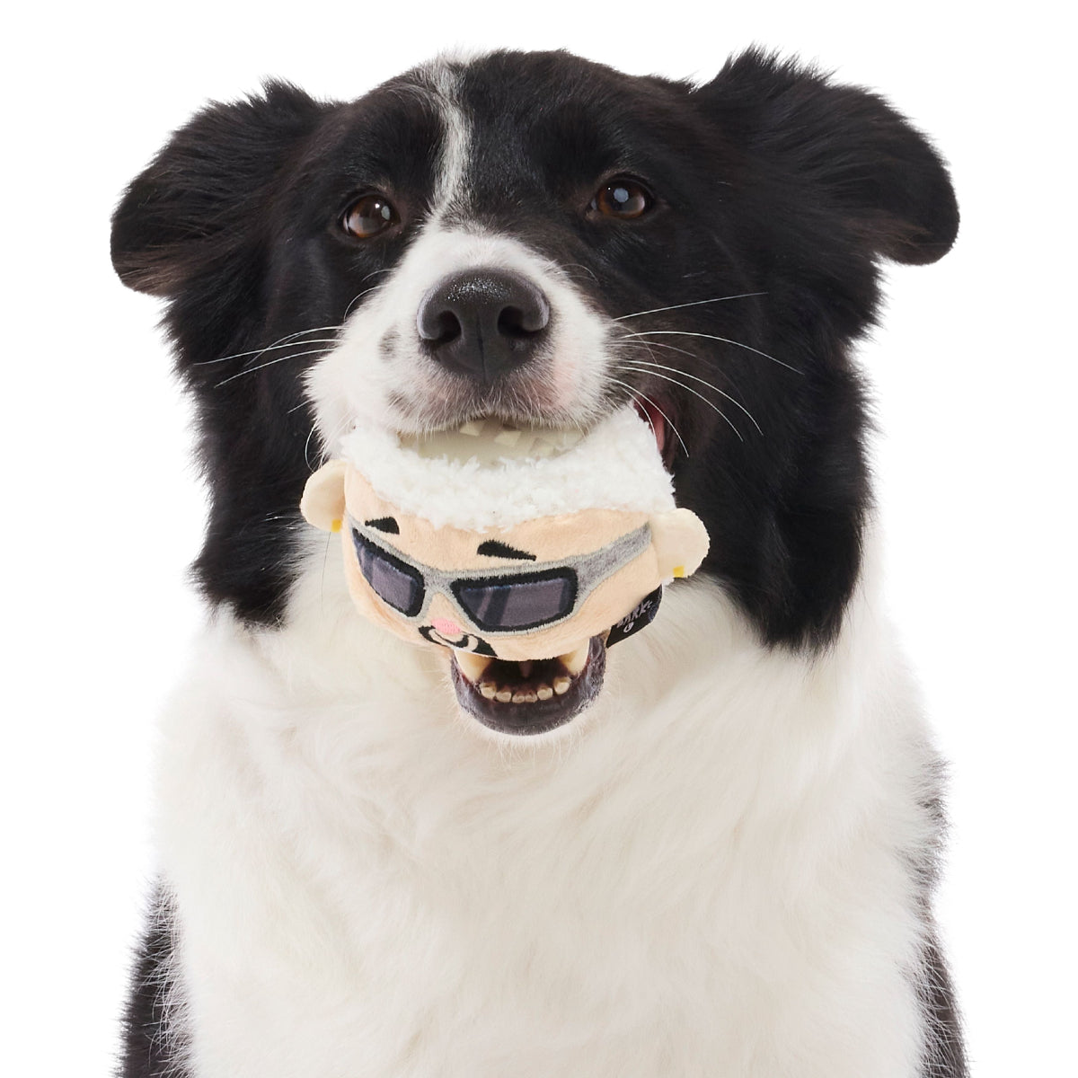#Brand_superchewer