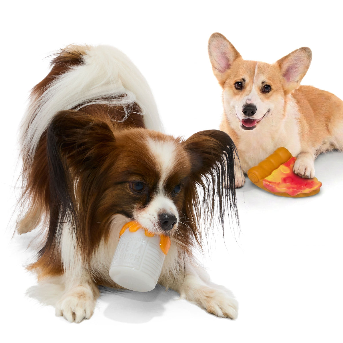 #Brand_superchewer #size_smalldog