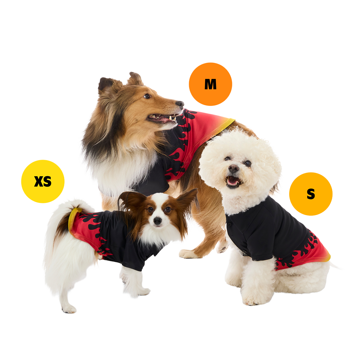 Flavortown™ Wearable Bundle